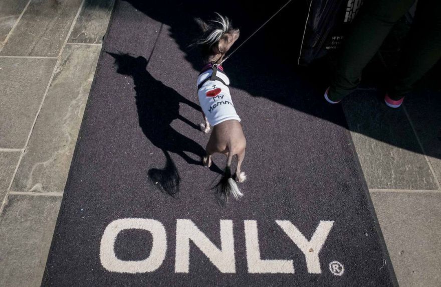 30 photos incroyablement chanceuses par l’un des meilleurs photographes de rue du monde
