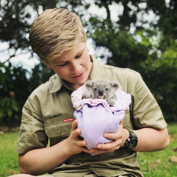 Le fils de 14 ans de Steve Irwin est un photographe primé et voici 40 photos pour le prouver ! By Ipnoze.com                       Robert-irwin-photographie-003-01