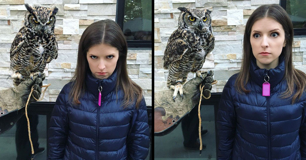 22 fois où Anna Kendrick a prouvé qu’elle est une vraie princesse Disney