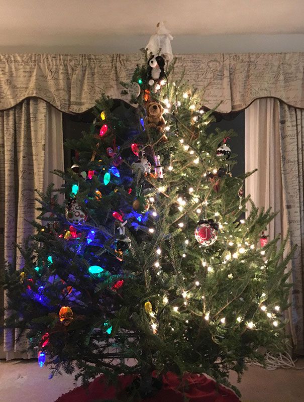 31 personnes qui ont triomphé à Noël grâce à leurs idées créatives d&#8217;arbres de Noël