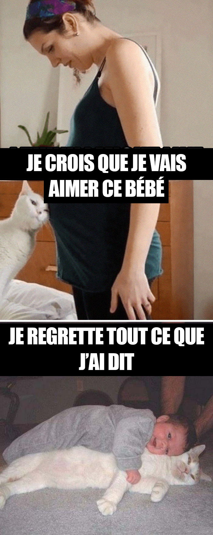 17 Blagues De Grossesse Les Plus Droles De Tous Les Temps Ipnoze