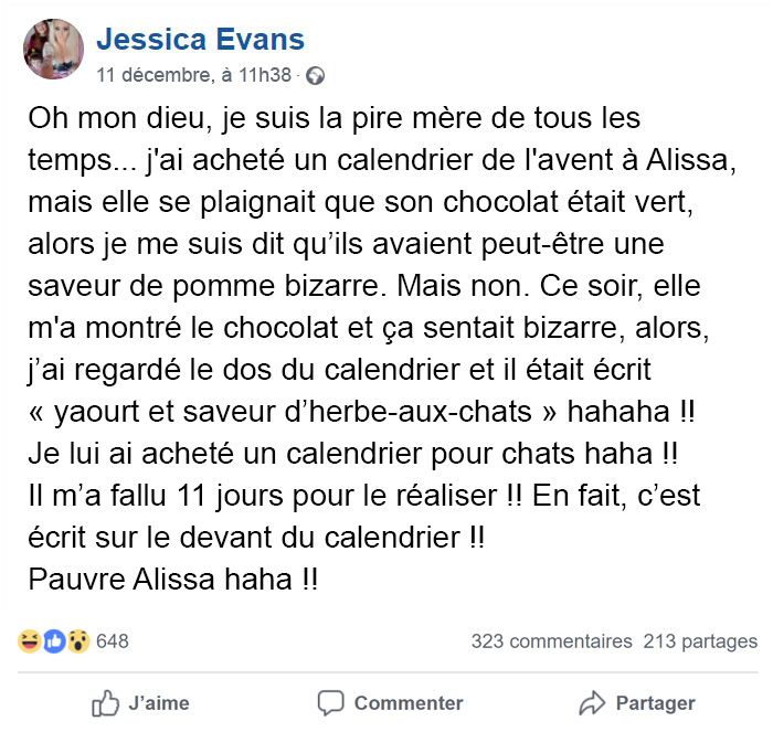 L’échec hilarant de cette mère est devenu viral quand sa fille de 9 ans a mangé les « chocolats » d’un calendrier de l’avent pour chats pendant 11 jours