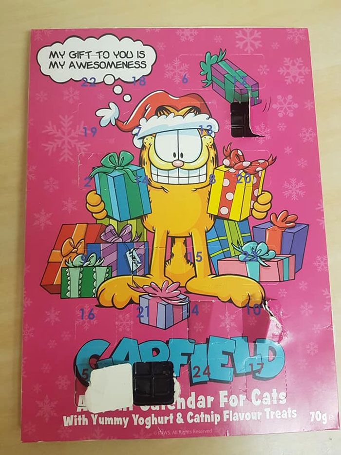 L’échec hilarant de cette mère est devenu viral quand sa fille de 9 ans a mangé les « chocolats » d’un calendrier de l’avent pour chats pendant 11 jours