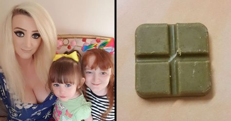 L’échec hilarant de cette mère est devenu viral quand sa fille de 9 ans a mangé les « chocolats » d’un calendrier de l’avent pour chats pendant 11 jours