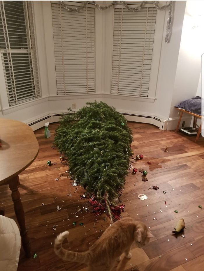 22 personnes qui passent un pire Noël que toi
