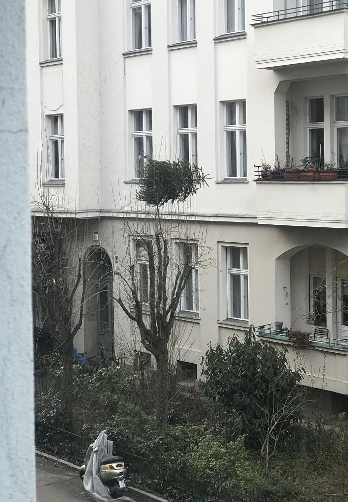 22 personnes qui passent un pire Noël que toi