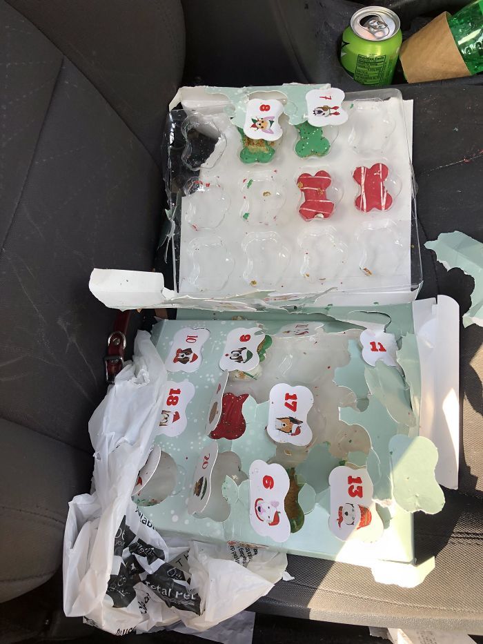 22 personnes qui passent un pire Noël que toi