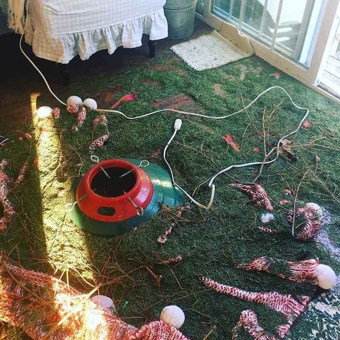 22 personnes qui passent un pire Noël que toi