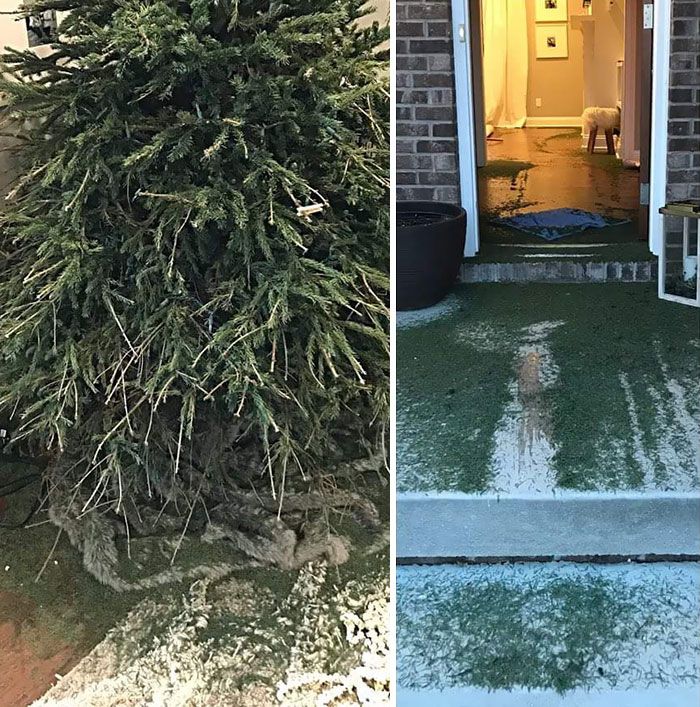22 personnes qui passent un pire Noël que toi