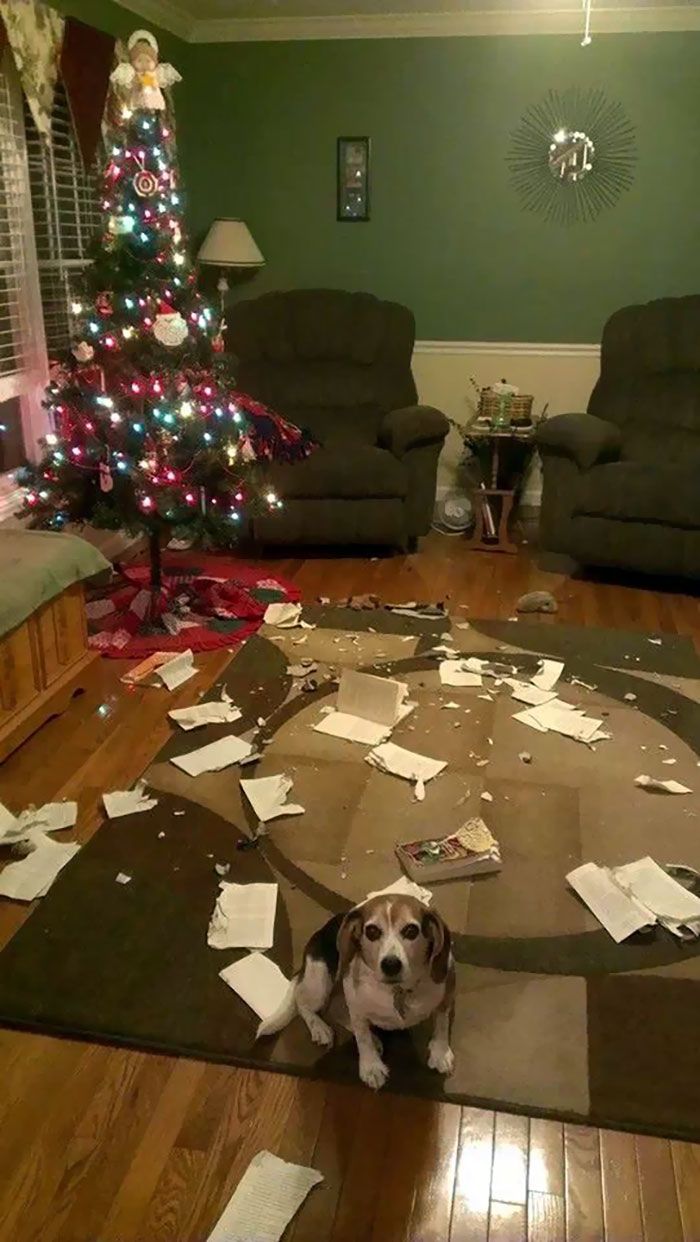 22 personnes qui passent un pire Noël que toi