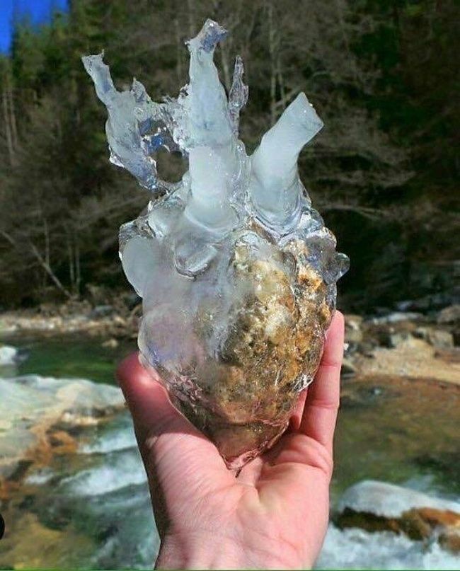 27 photos glacées de l’hiver qui montrent à quel point il fait froid dans certains endroits