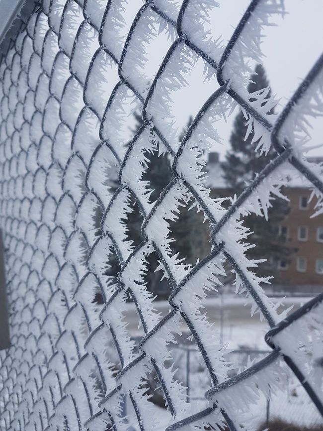 27 photos glacées de l’hiver qui montrent à quel point il fait froid dans certains endroits