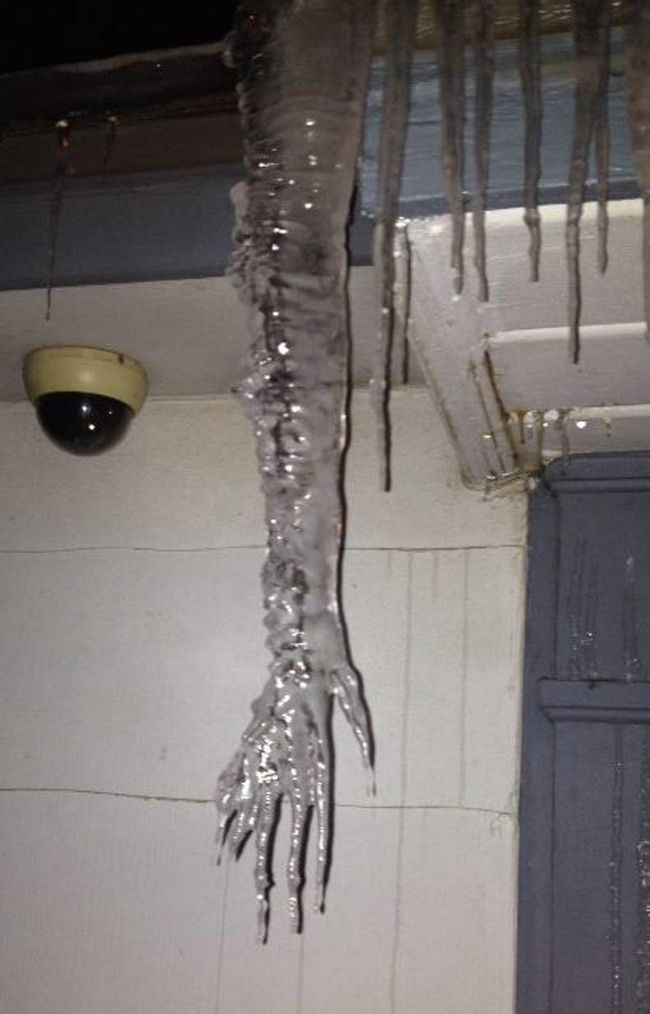 27 photos glacées de l’hiver qui montrent à quel point il fait froid dans certains endroits