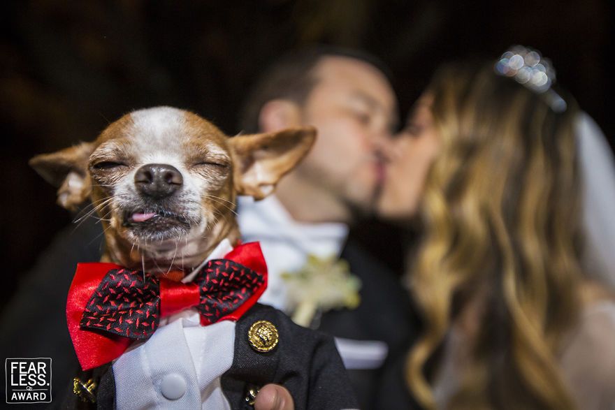 Les 33 meilleures photos de mariage de l’année montrent ce qui arrive quand tu payes un bon photographe