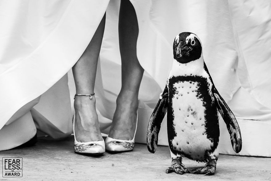 Les 33 meilleures photos de mariage de l’année montrent ce qui arrive quand tu payes un bon photographe