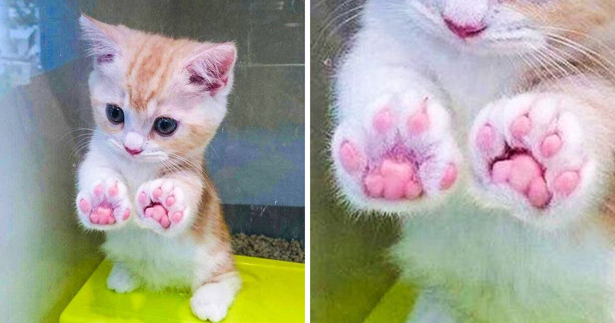 21 photos antistress à regarder avant ou après une dure journée