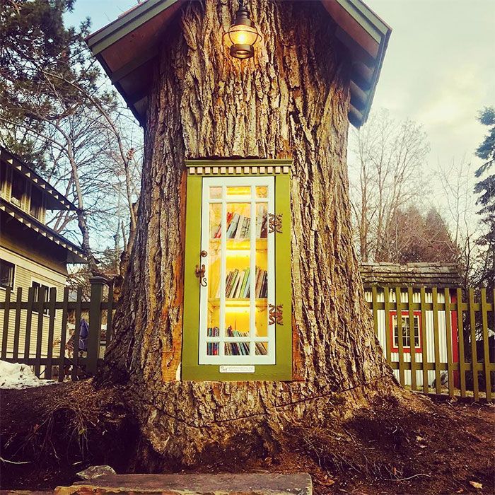 Une femme a transformé un arbre mort de 110 ans en une petite bibliothèque gratuite pour le quartier et elle a l’air magique