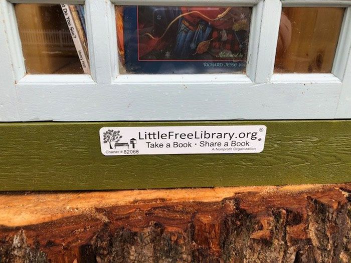 Une femme a transformé un arbre mort de 110 ans en une petite bibliothèque gratuite pour le quartier et elle a l’air magique