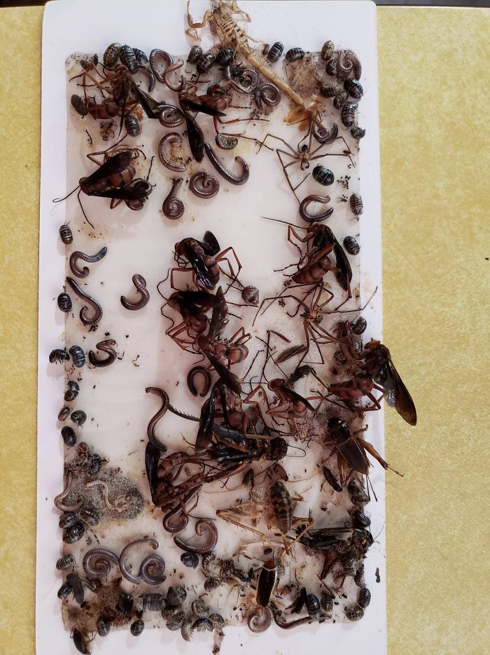 28 échecs cuisants par des gens qui passent une pire journée que vous (nouvelles photos)