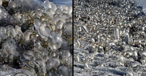 Les températures glaciales et les vents violents ont transformé le lac Balaton en un monde merveilleux hivernal (26 photos)