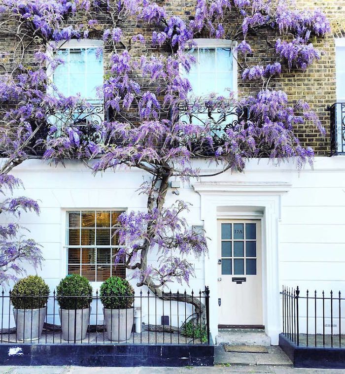 Cette femme a photographié les plus belles portes d’entrée de Londres.....By Ipnoze.com Plus-belles-portes-entree-londres-bella-foxwell-002