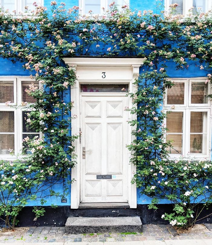 Cette femme a photographié les plus belles portes d’entrée de Londres.....By Ipnoze.com Plus-belles-portes-entree-londres-bella-foxwell-011