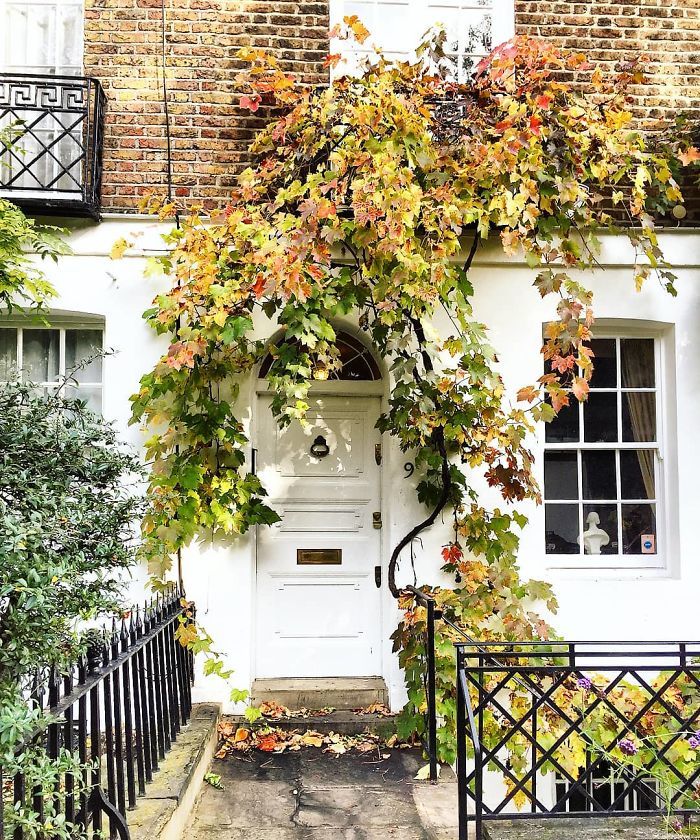 Cette femme a photographié les plus belles portes d’entrée de Londres.....By Ipnoze.com Plus-belles-portes-entree-londres-bella-foxwell-020