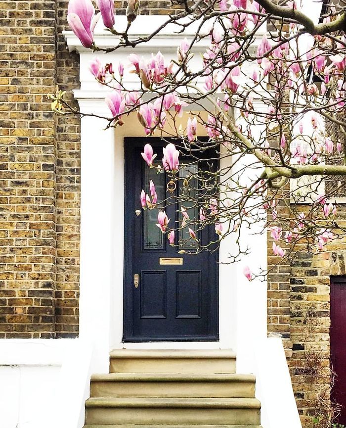 Cette femme a photographié les plus belles portes d’entrée de Londres.....By Ipnoze.com Plus-belles-portes-entree-londres-bella-foxwell-024