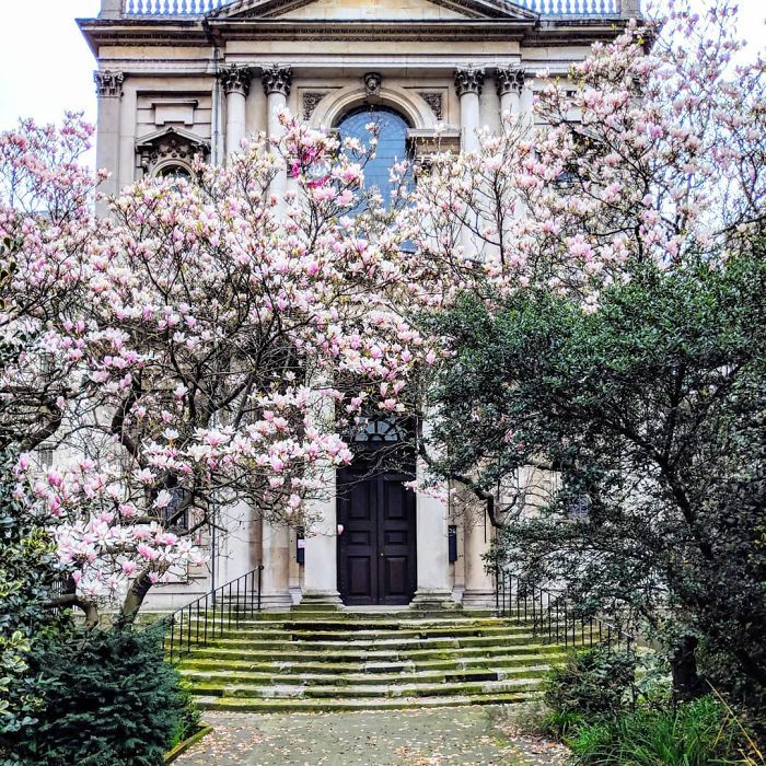 Cette femme a photographié les plus belles portes d’entrée de Londres.....By Ipnoze.com Plus-belles-portes-entree-londres-bella-foxwell-031