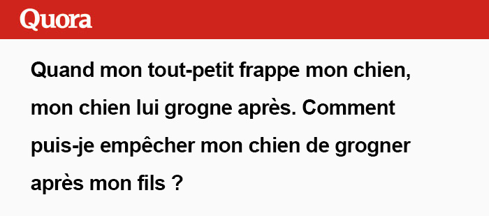 Des gens donnent des conseils intéressants à une maman qui se demande quoi faire pour que son chien arrête de grogner quand son tout-petit le frappe