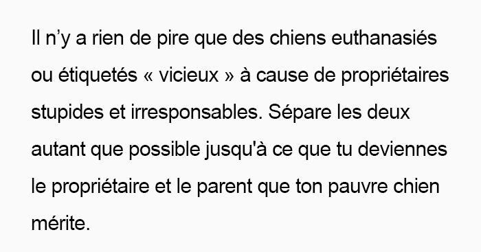 Des gens donnent des conseils intéressants à une maman qui se demande quoi faire pour que son chien arrête de grogner quand son tout-petit le frappe