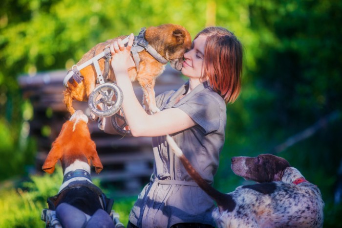 Une célèbre photographe a mis fin à sa carrière pour vivre dans une forêt avec 100 chiens malades