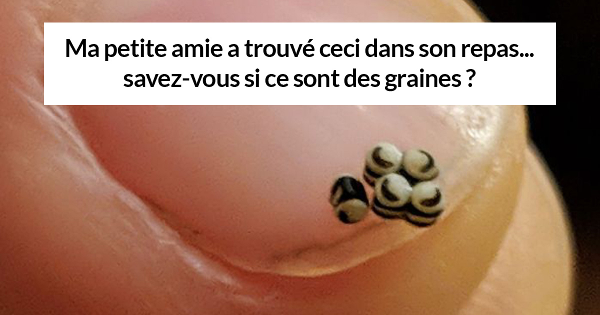 22 fois où des gens n’avaient aucune idée de ce qu’ils regardaient, mais les internautes savaient immédiatement ce que c’était