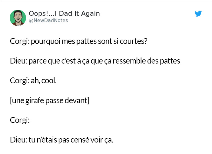 Des gens ont imaginé à quoi Dieu pensait quand il a créé des choses spécifiques et c’est hilarant