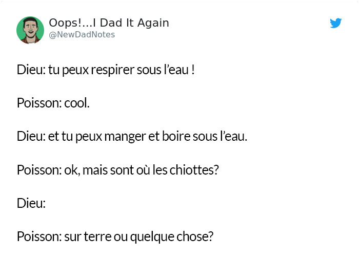 Des gens ont imaginé à quoi Dieu pensait quand il a créé des choses spécifiques et c’est hilarant