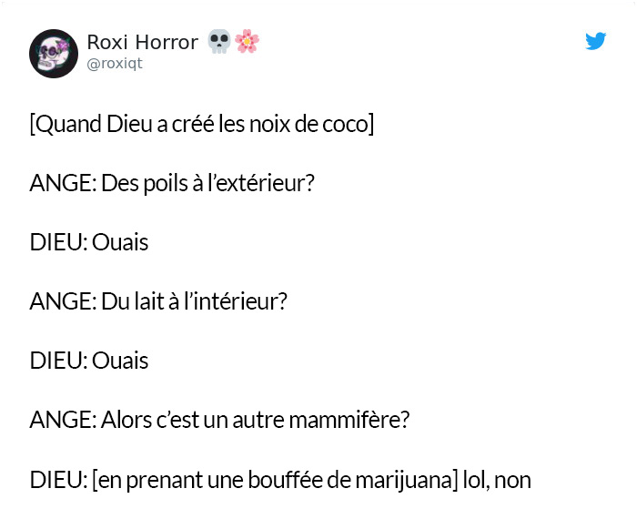 Des gens ont imaginé à quoi Dieu pensait quand il a créé des choses spécifiques et c’est hilarant