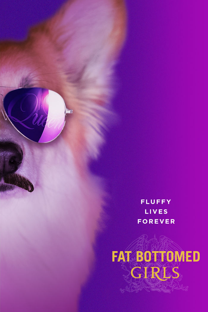 Un corgi est photoshopé dans des affiches de films populaires (13 images)