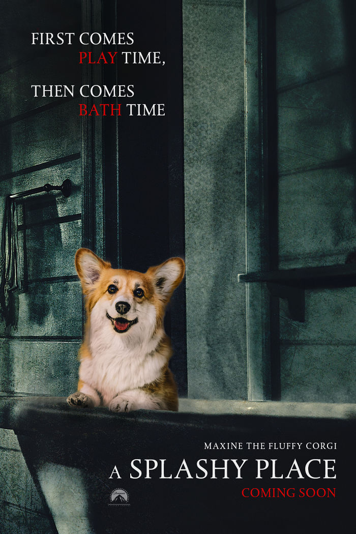 Un corgi est photoshopé dans des affiches de films populaires (13 images)