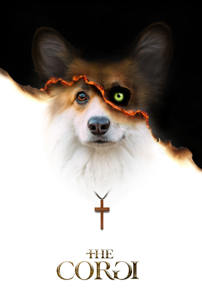 Un corgi est photoshopé dans des affiches de films populaires (13 images)