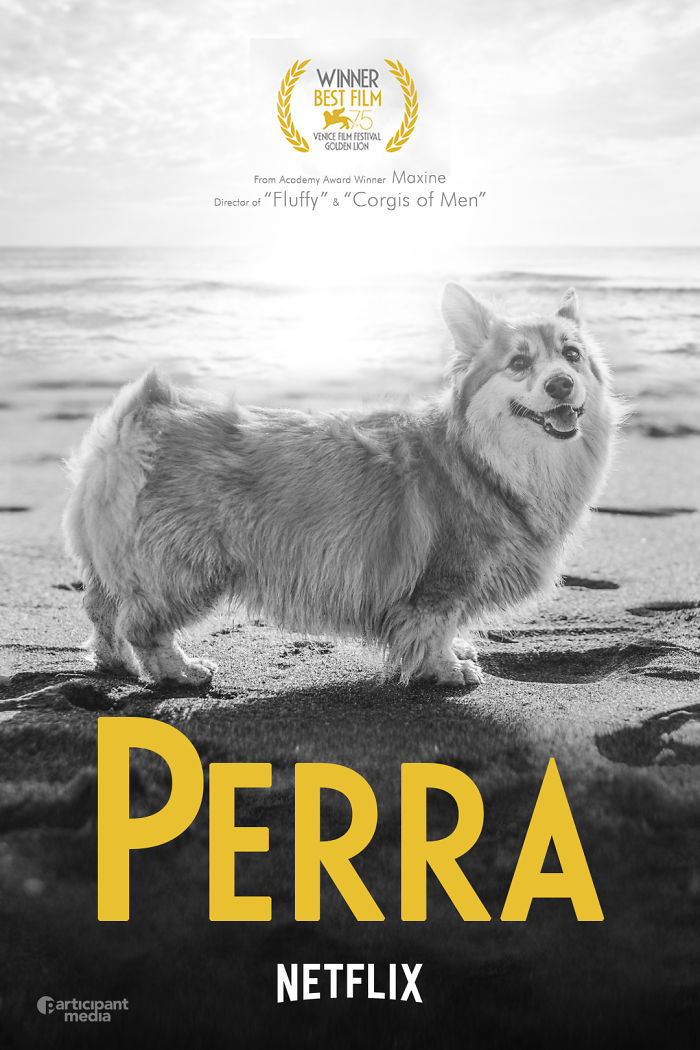 Un corgi est photoshopé dans des affiches de films populaires (13 images)
