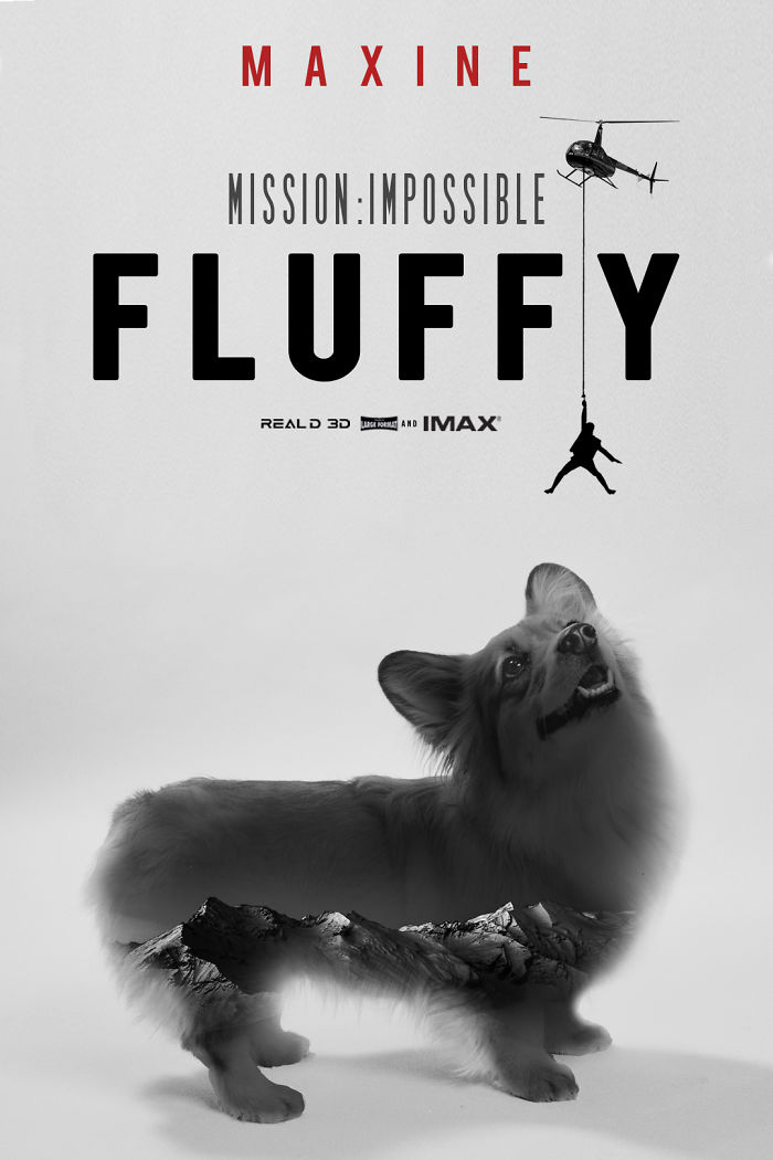 Un corgi est photoshopé dans des affiches de films populaires (13 images)