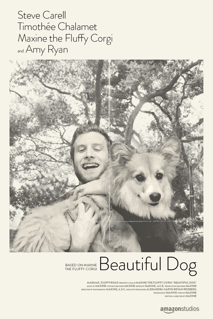 Un corgi est photoshopé dans des affiches de films populaires (13 images)