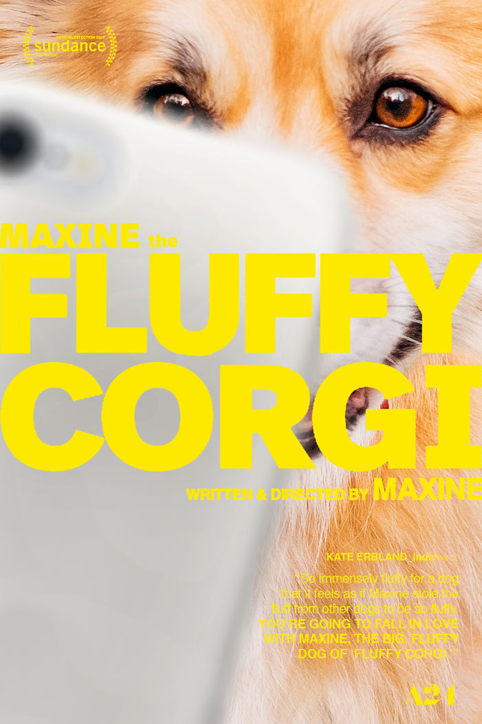 Un corgi est photoshopé dans des affiches de films populaires (13 images)
