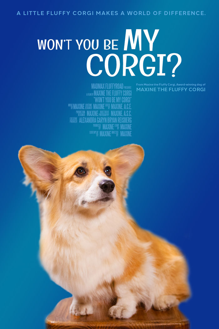Un corgi est photoshopé dans des affiches de films populaires (13 images)