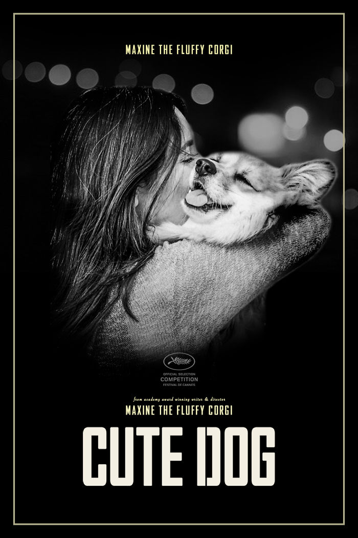 Un corgi est photoshopé dans des affiches de films populaires (13 images)