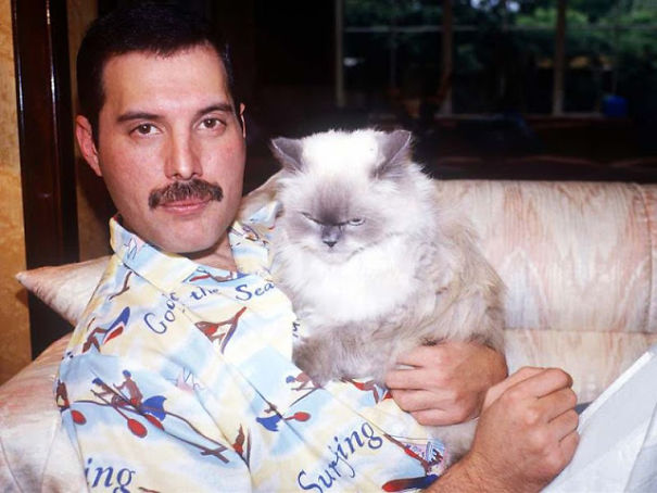 20 photos de Freddie Mercury et ses chats qu’il aimait et traitait comme ses propres enfants ! By Ipnoze.com Freddie-mercury-chats-004