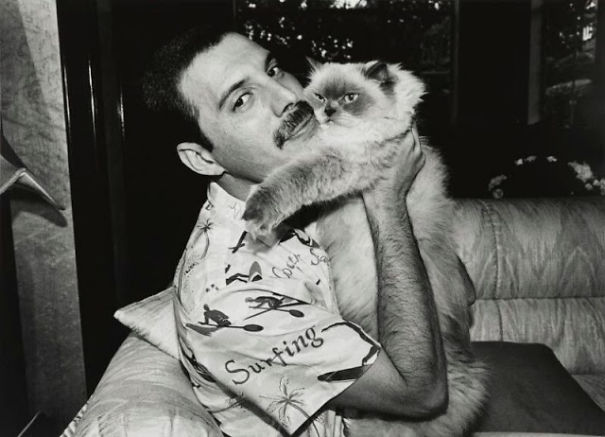 20 photos de Freddie Mercury et ses chats qu’il aimait et traitait comme ses propres enfants ! By Ipnoze.com Freddie-mercury-chats-019