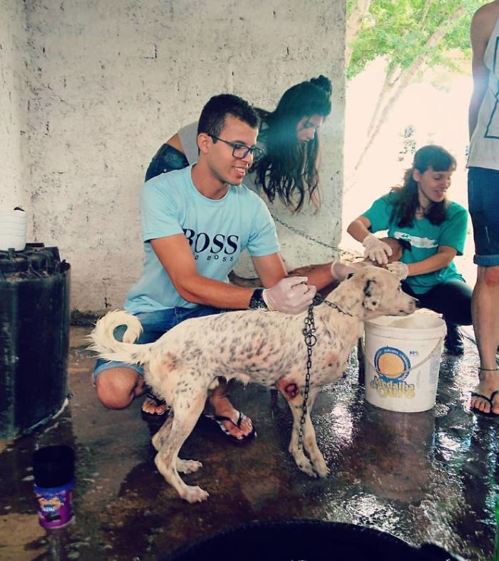 Cet artiste brésilien utilise les pneus usés que des gens jettent dans la rue pour créer des lits pour les animaux