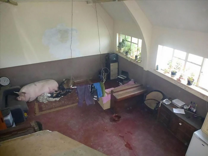 30 photos horribles prises par des agents immobiliers