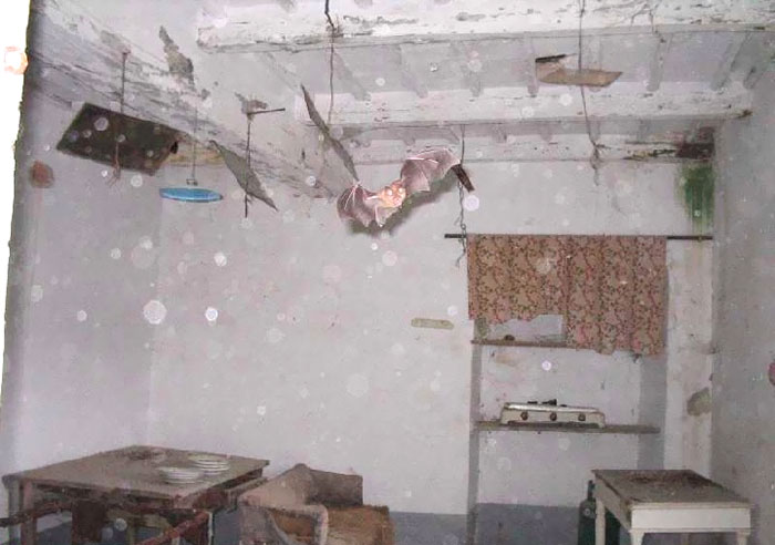 30 photos horribles prises par des agents immobiliers